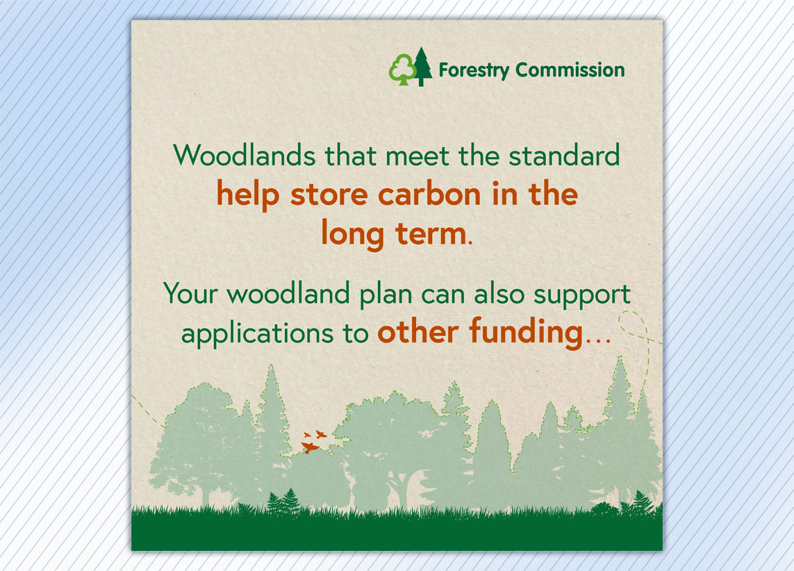 Forestry Commission Create Woodland carousel graphic